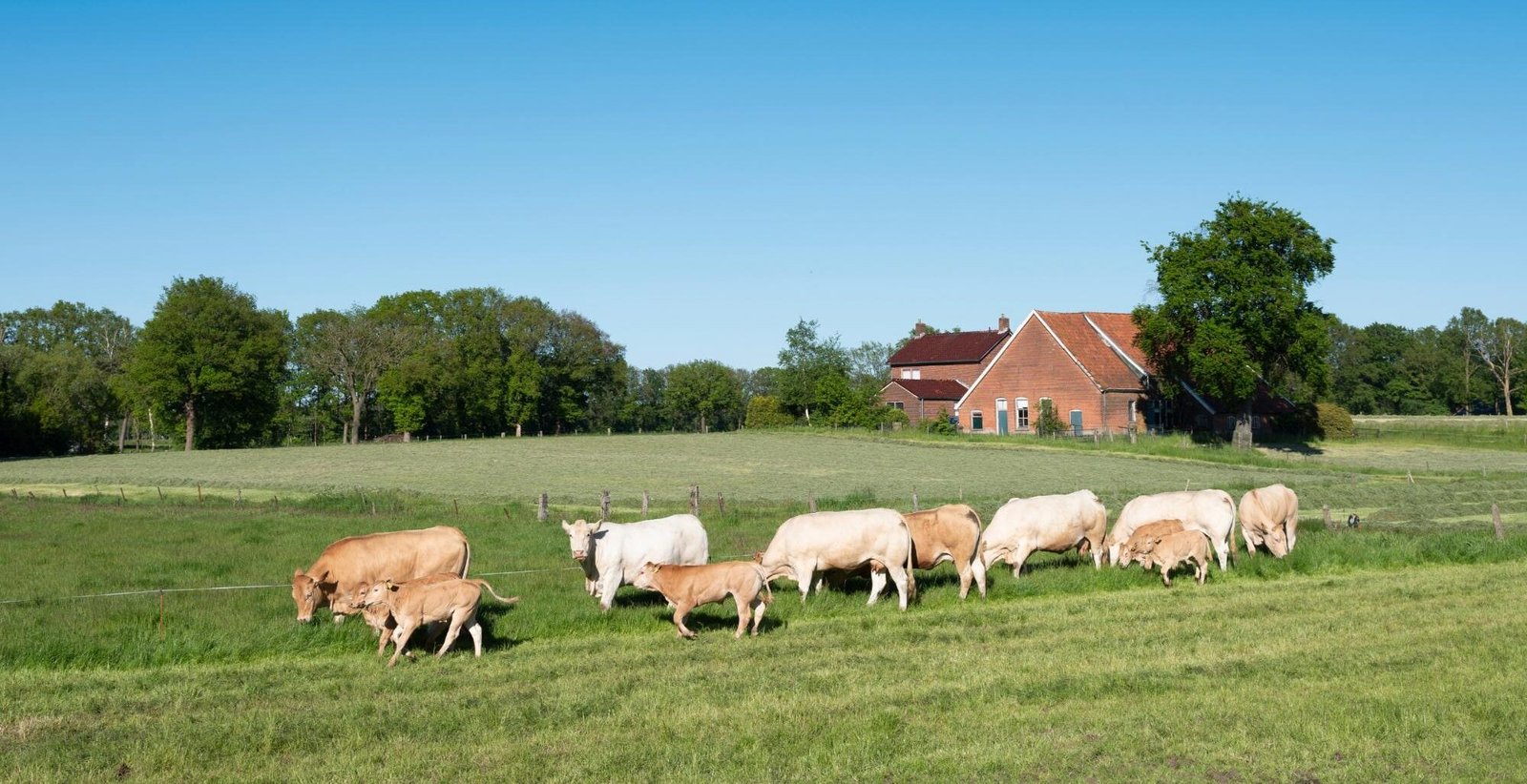 Landelijk vastgoed Twente